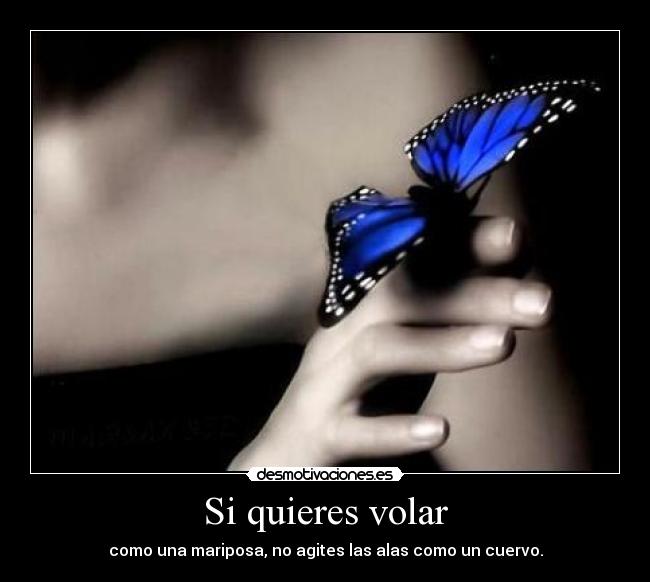 Si quieres volar - como una mariposa, no agites las alas como un cuervo.