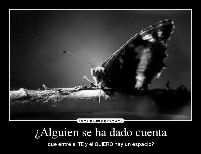 ¿Alguien se ha dado cuenta - 