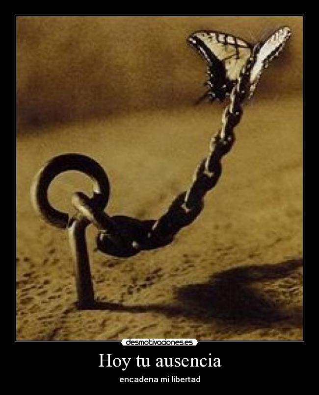 Hoy tu ausencia -