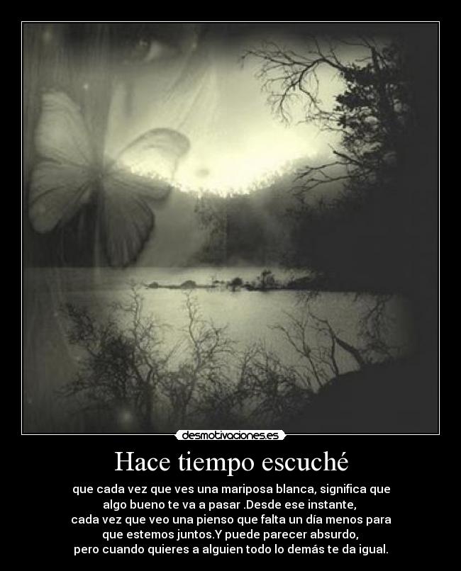 Hace tiempo escuché - que cada vez que ves una mariposa blanca, significa que
algo bueno te va a pasar .Desde ese instante, 
cada vez que veo una pienso que falta un día menos para
 que estemos juntos.Y puede parecer absurdo, 
pero cuando quieres a alguien todo lo demás te da igual.