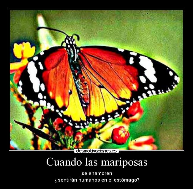 carteles mariposas desmotivaciones