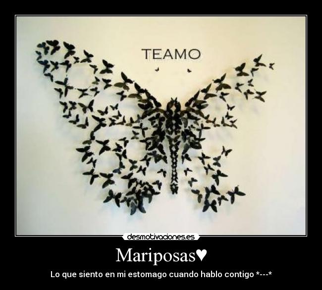 Mariposas♥ - Lo que siento en mi estomago cuando hablo contigo *---*