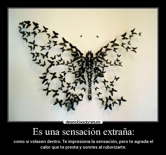 Es una sensación extraña: -