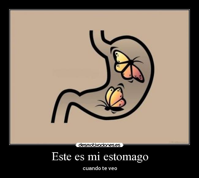 Este es mi estomago - cuando te veo