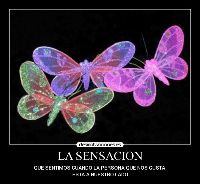LA SENSACION - 
