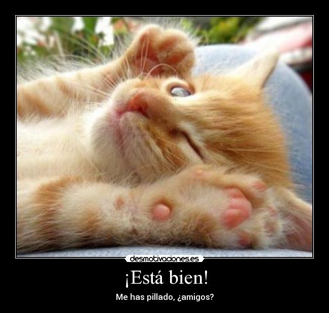 ¡Está bien! -