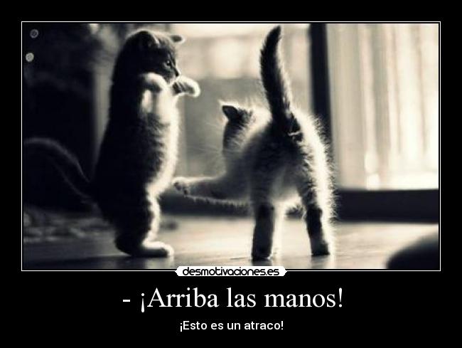 - ¡Arriba las manos! - ¡Esto es un atraco!