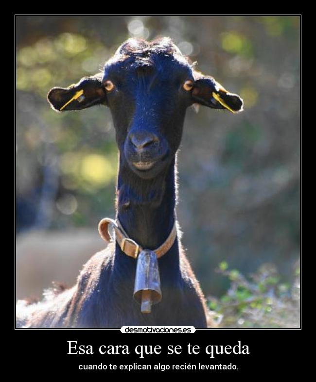 Esa cara que se te queda - 