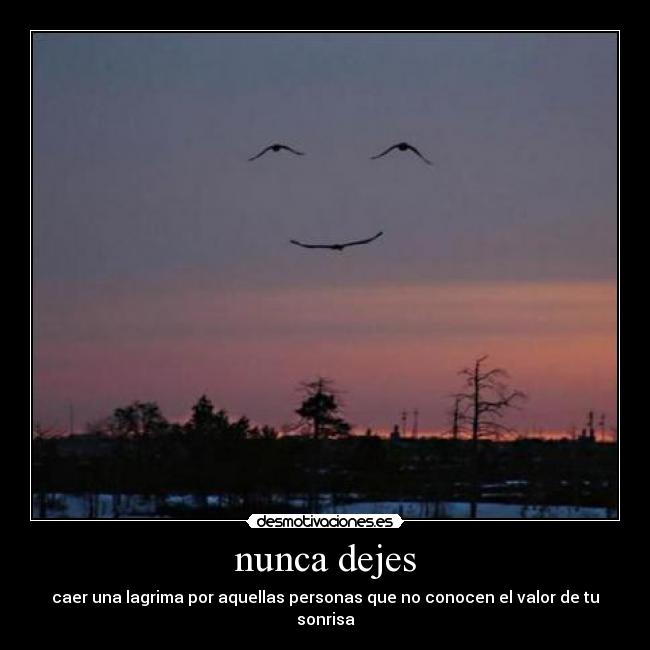 nunca dejes - caer una lagrima por aquellas personas que no conocen el valor de tu sonrisa