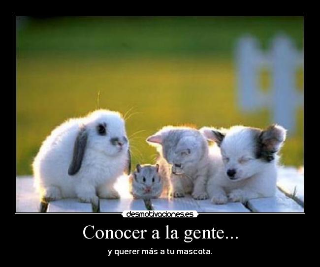 Conocer a la gente... - 