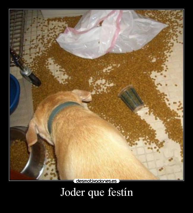 carteles cvdf desmotivaciones