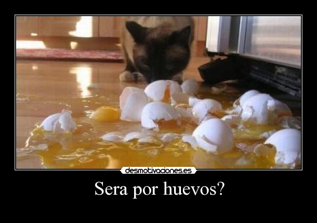 Sera por huevos? -