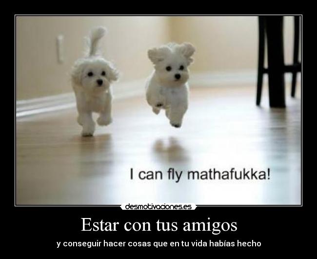 Estar con tus amigos - y conseguir hacer cosas que en tu vida habías hecho