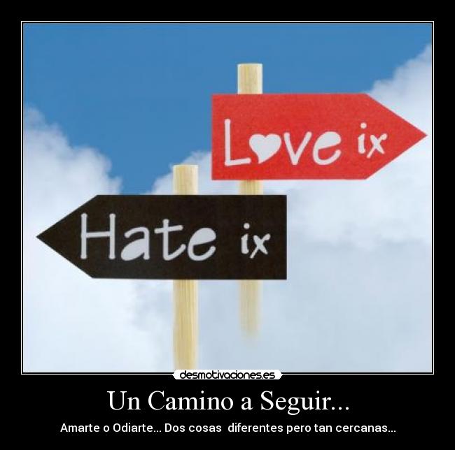 Un Camino a Seguir... -