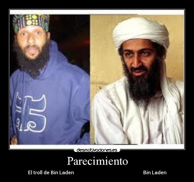 Parecimiento - El troll de Bin Laden                                                          Bin Laden