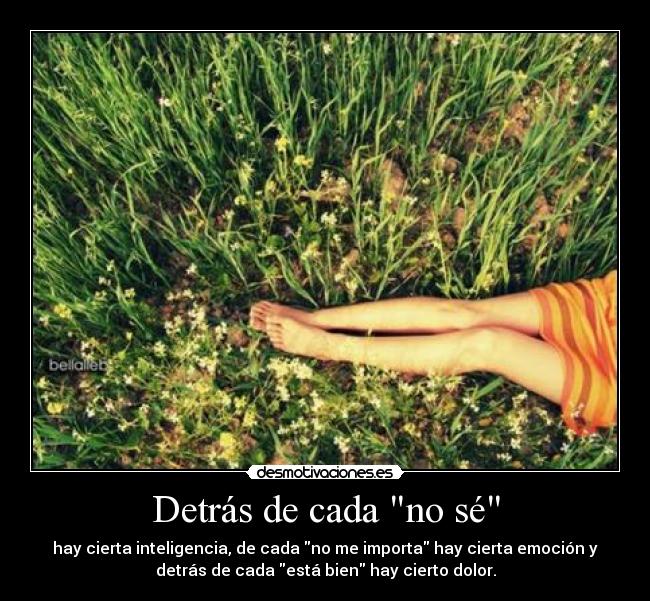 Detrás de cada no sé - hay cierta inteligencia, de cada no me importa hay cierta emoción y
detrás de cada está bien hay cierto dolor.