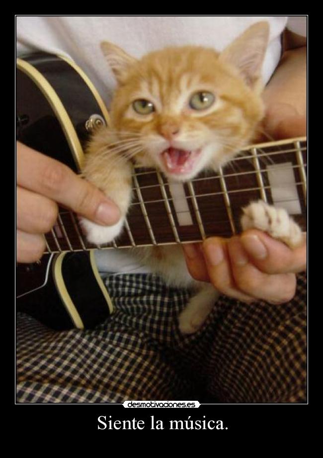 Siente la música. - 