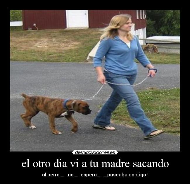 el otro dia vi a tu madre sacando - al perro.......no......espera.........paseaba contigo !