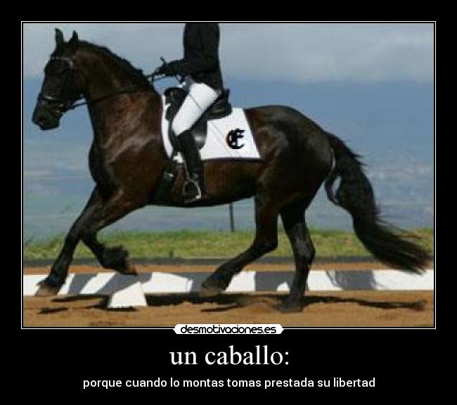 un caballo: - 