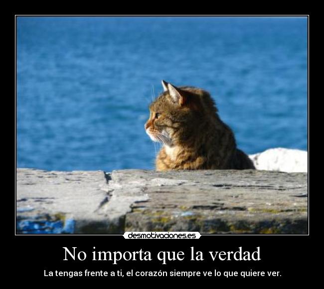 No importa que la verdad - La tengas frente a ti, el corazón siempre ve lo que quiere ver.