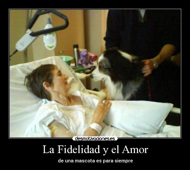 La Fidelidad y el Amor -