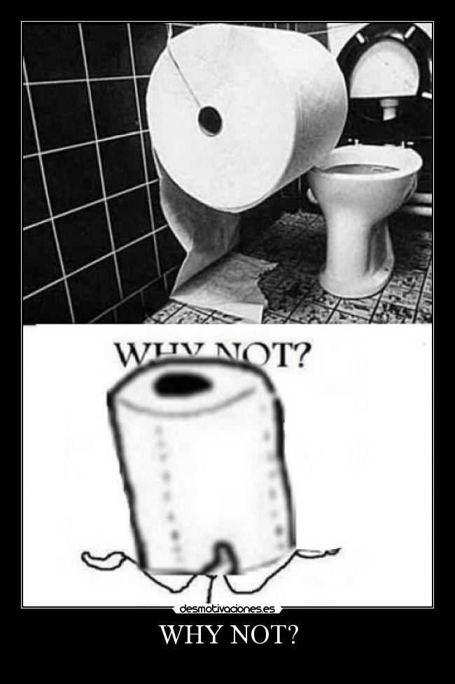 WHY NOT? -