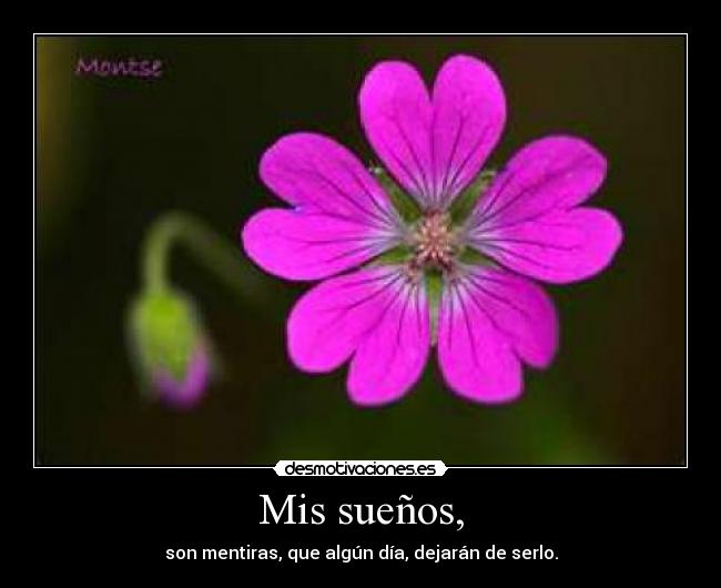 Mis sueños, - son mentiras, que algún día, dejarán de serlo.
