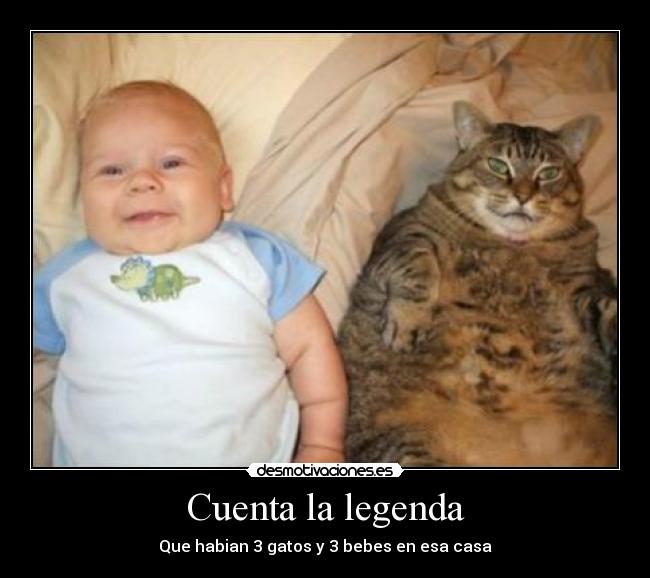 Cuenta la legenda - Que habian 3 gatos y 3 bebes en esa casa