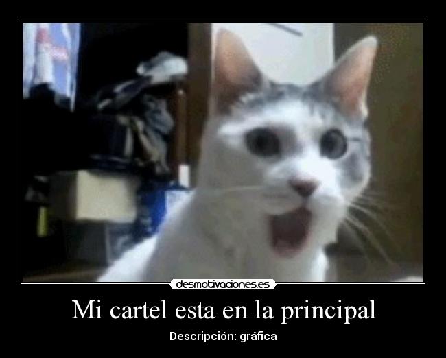 Mi cartel esta en la principal - Descripción: gráfica