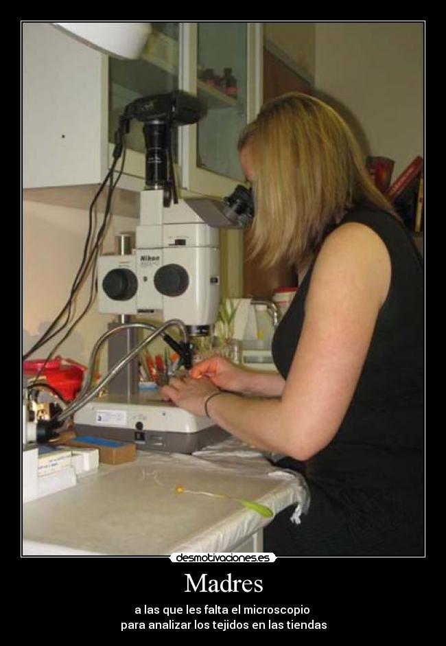 Madres - a las que les falta el microscopio 
para analizar los tejidos en las tiendas