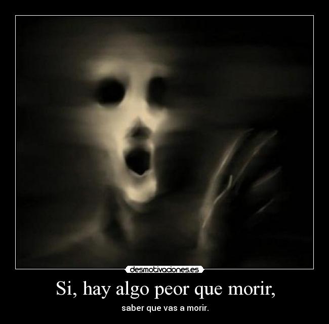 carteles hay algo peor que morir saber que vas morir desmotivaciones