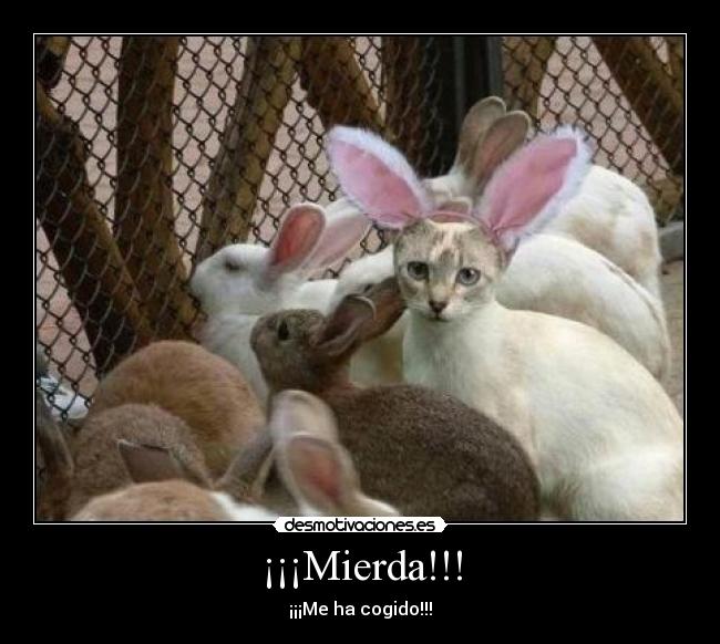 ¡¡¡Mierda!!! - ¡¡¡Me ha cogido!!!