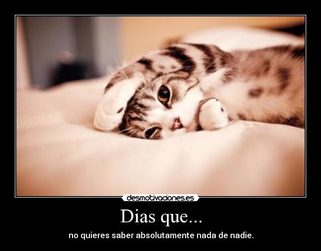 Dias que... - 
