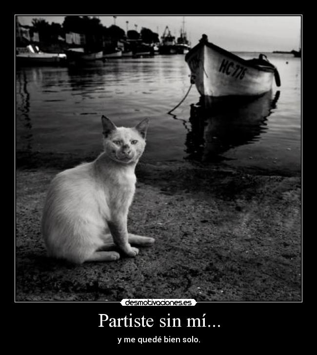 Partiste sin mí... - y me quedé bien solo.