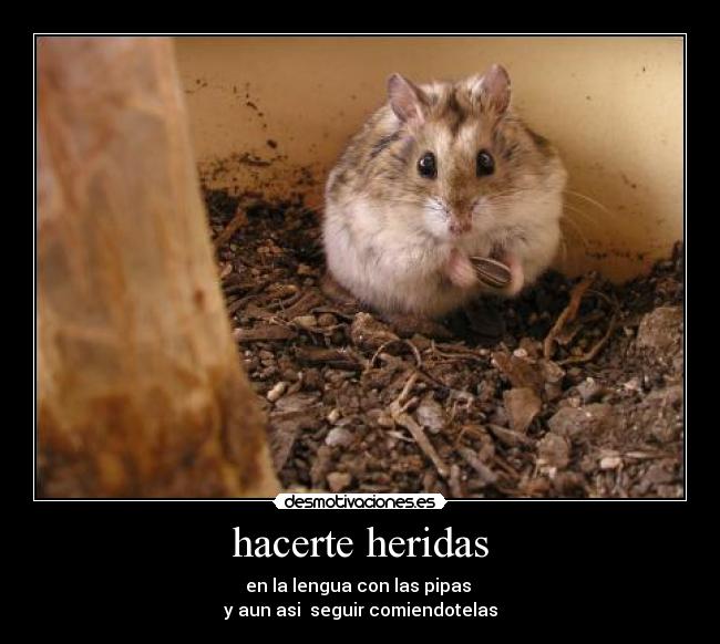 hacerte heridas - en la lengua con las pipas
y aun asi seguir comiendotelas