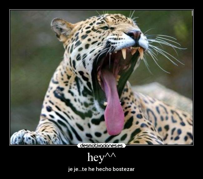 hey^^ - je je...te he hecho bostezar