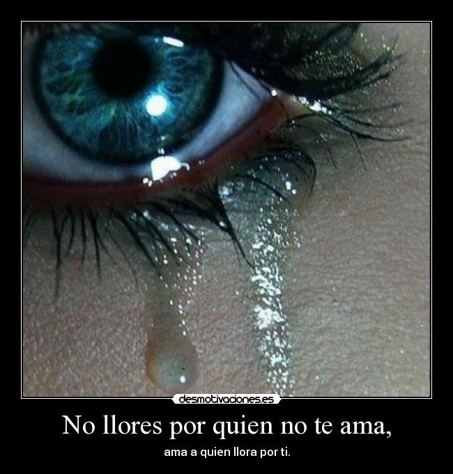 No llores por quien no te ama, - ama a quien llora por ti.
