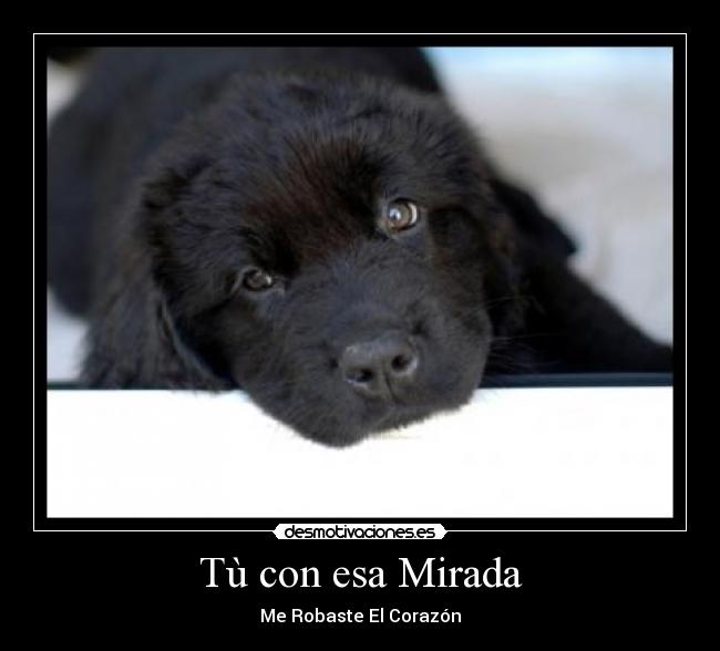 carteles que belloo desmotivaciones