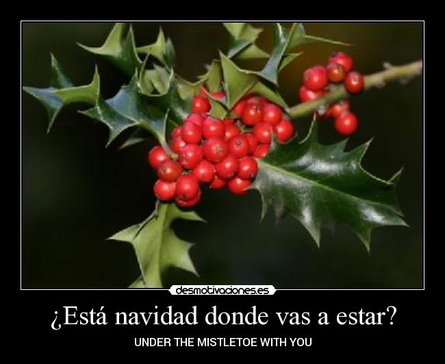 ¿Está navidad donde vas a estar? - 