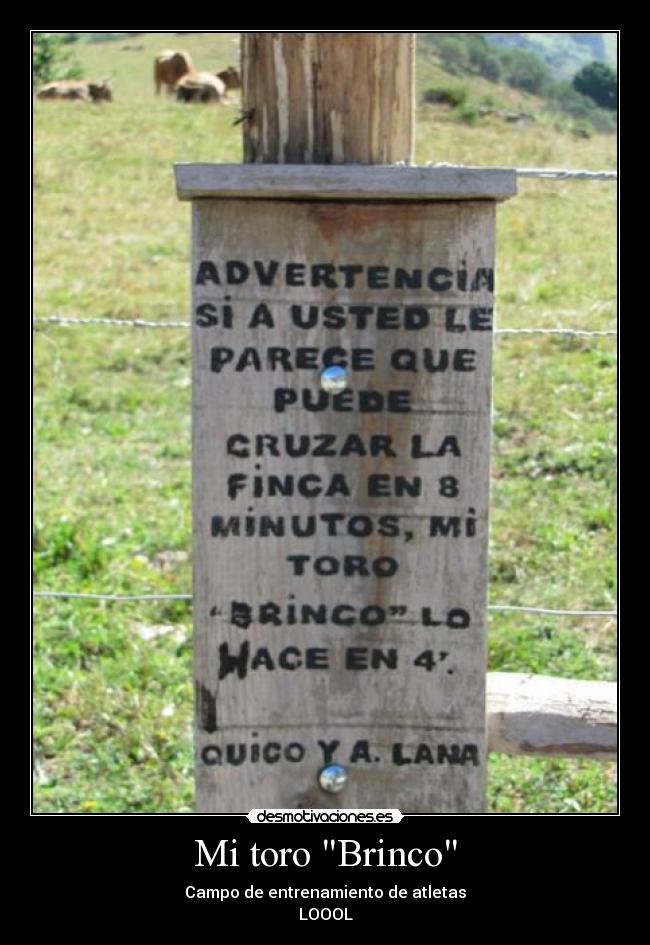Mi toro Brinco - Campo de entrenamiento de atletas
LOOOL