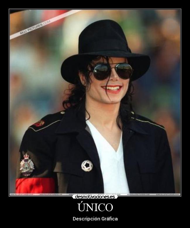 ÚNICO - Descripción Gráfica