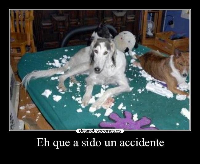 Eh que a sido un accidente -