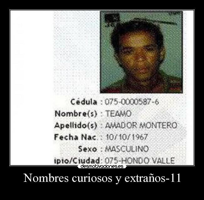 carteles bvc desmotivaciones