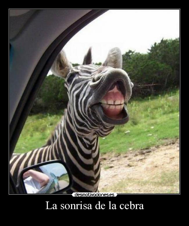 carteles sonrisa sdfs desmotivaciones