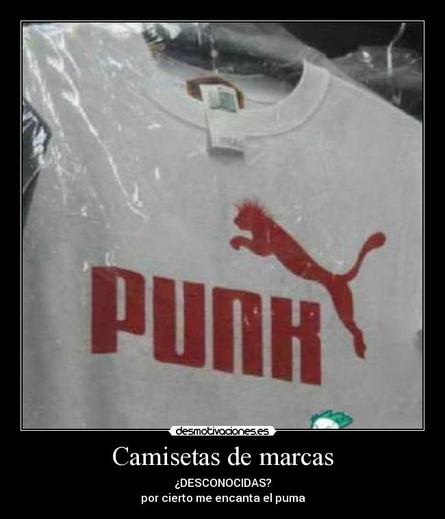Camisetas de marcas - ¿DESCONOCIDAS?
por cierto me encanta el puma