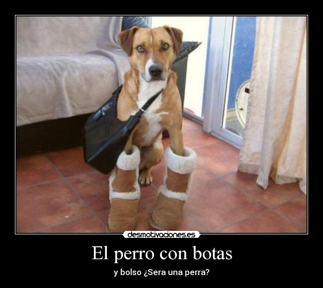 El perro con botas - 