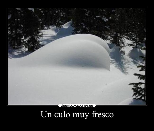 carteles sdfs desmotivaciones