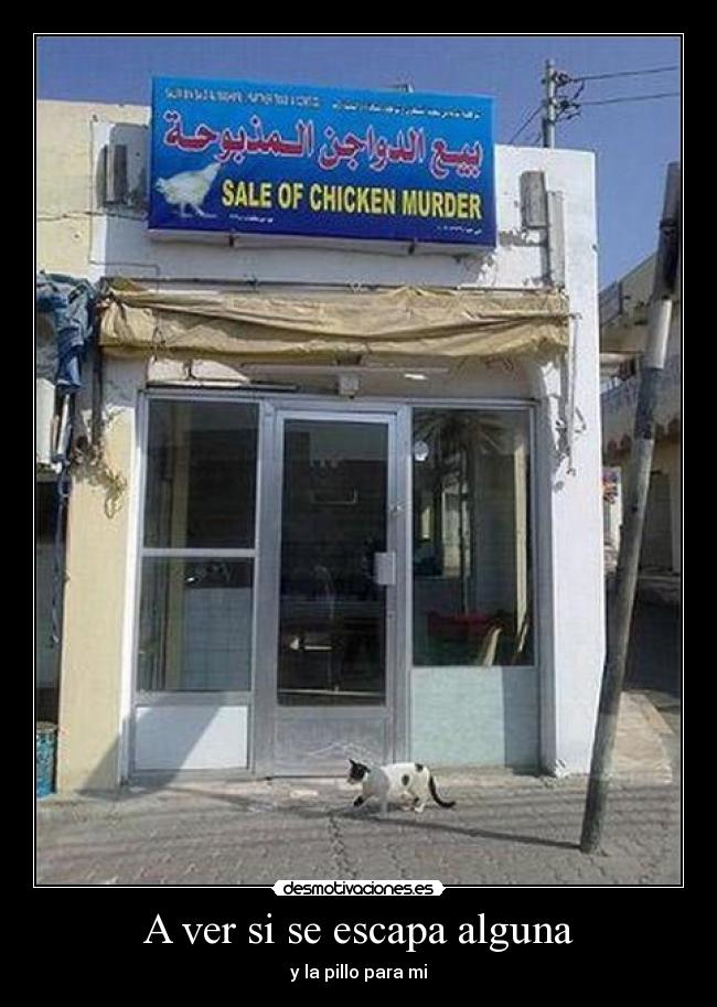 A ver si se escapa alguna -