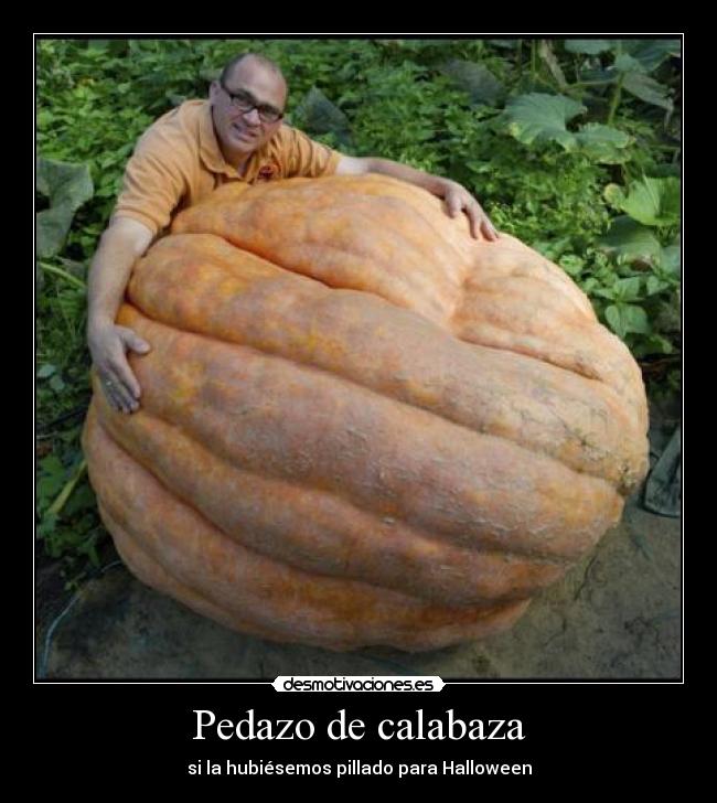 Pedazo de calabaza - 