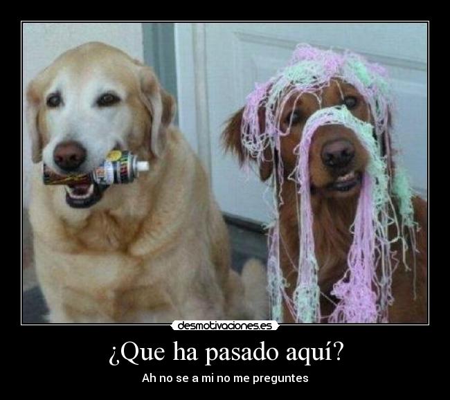 ¿Que ha pasado aquí? - Ah no se a mi no me preguntes